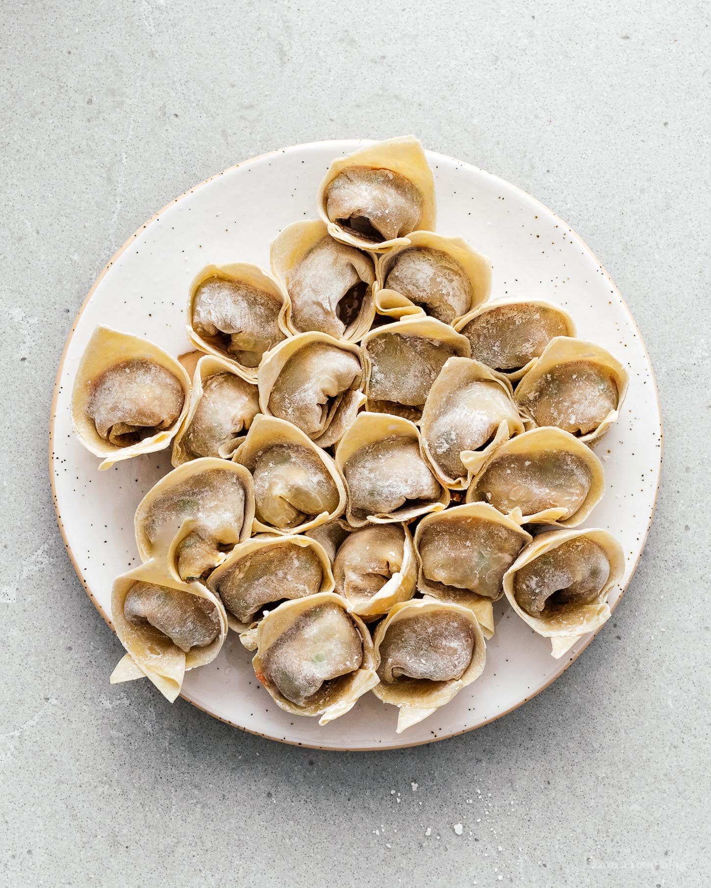 Spicy Chili Oil Wontons Recipe | www.iamafoodblog.com