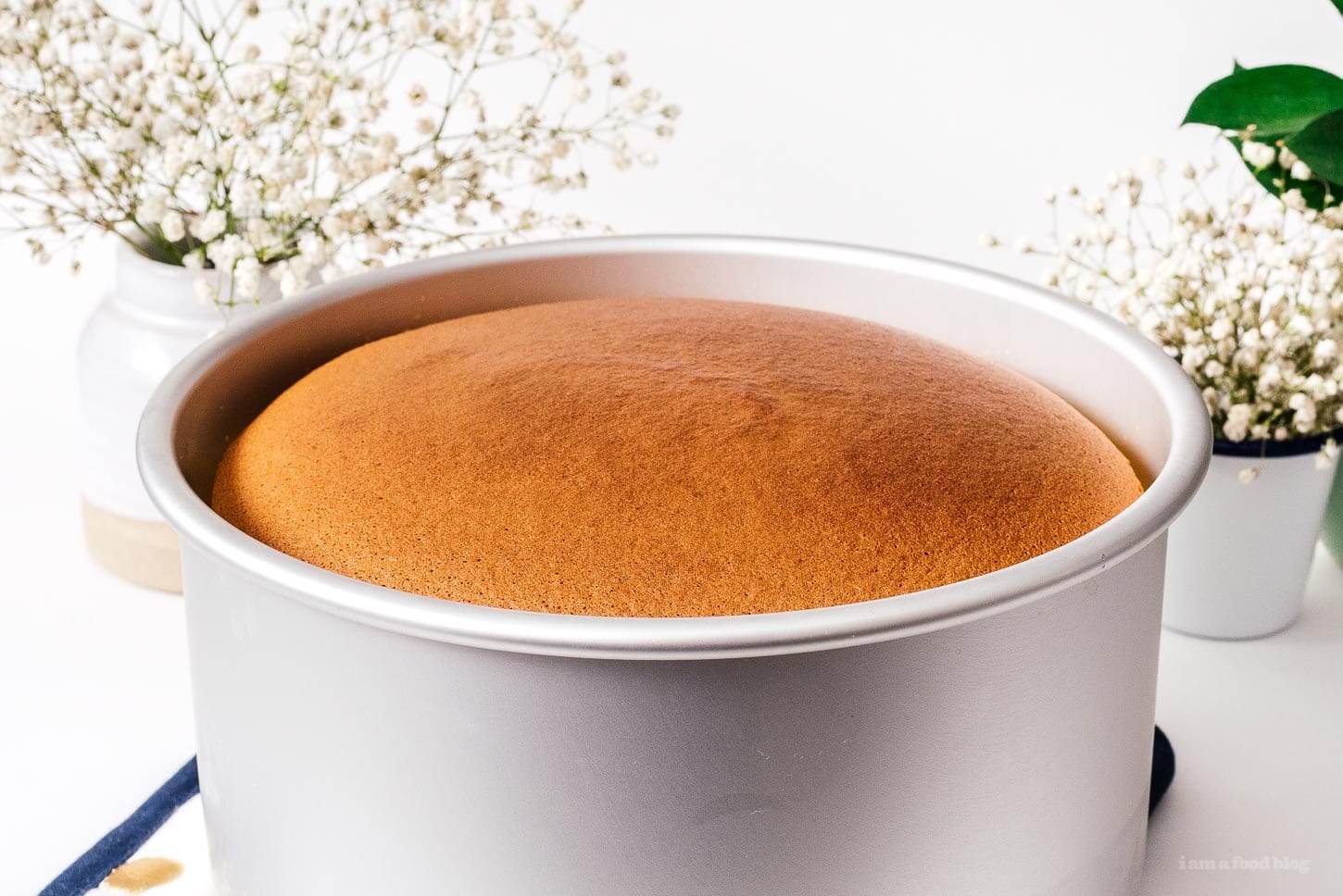 cheesecake cooling | www.iamafoodblog.com