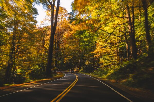 leaf peeping guide to the east coast | www.iamafoodblog.com