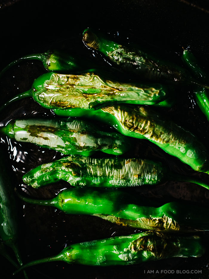 shishito burrata bread salad recipe - www.iamafoodblog.com